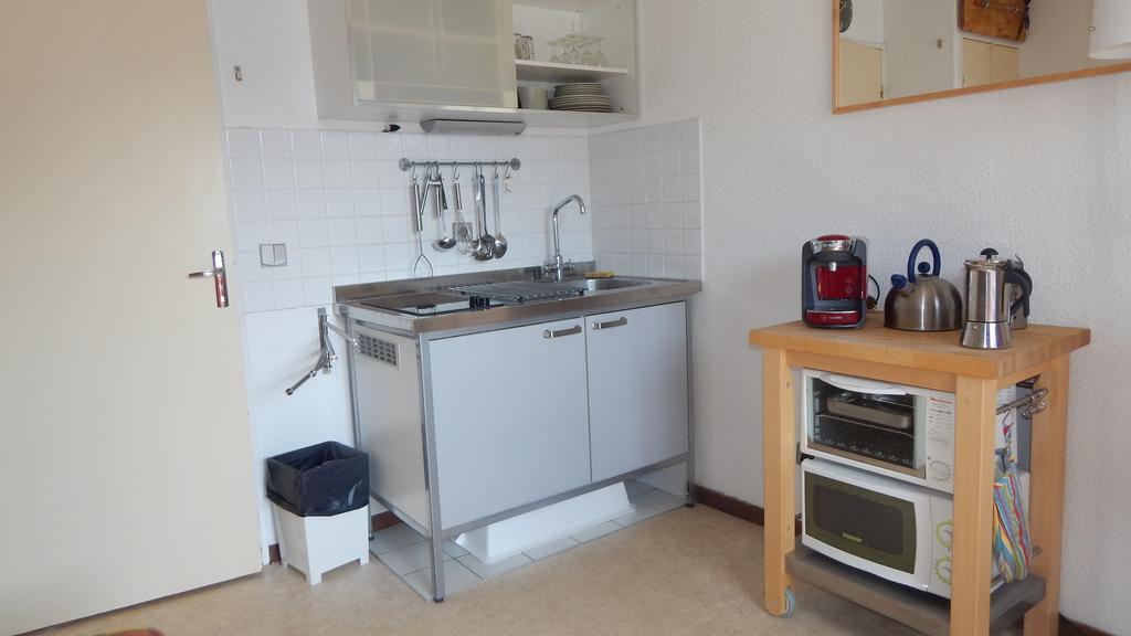 Studio Ski Apartment 莱德萨阿尔卑斯 外观 照片